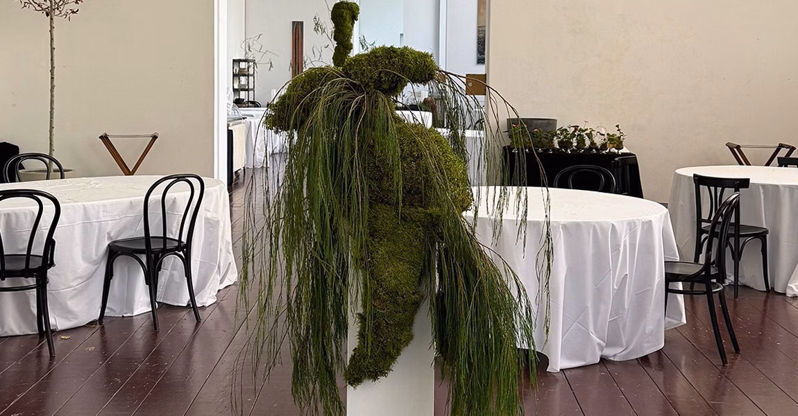 Son astuce ingénieuse pour sublimer toutes ses plantes sans encombrer le salon, et tout ça pour moins de 9 euros