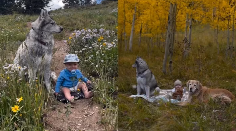 Célébration de la nature et des enfants au cœur du parc des Berges du Lez